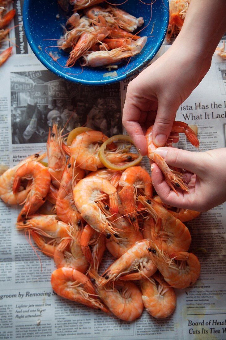 Hands Peeling Whole Boiled Shrimp Over Newspaper