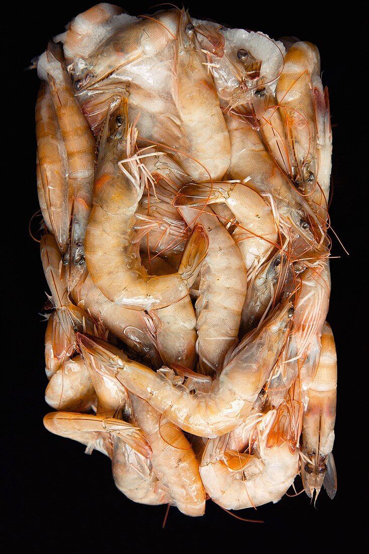 Many Whole Shrimp on Ice