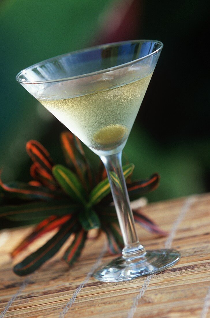 Martini mit Olive im Glas