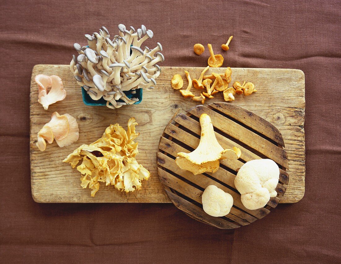 Assorted Mushroom Varieties on a Wooden Board