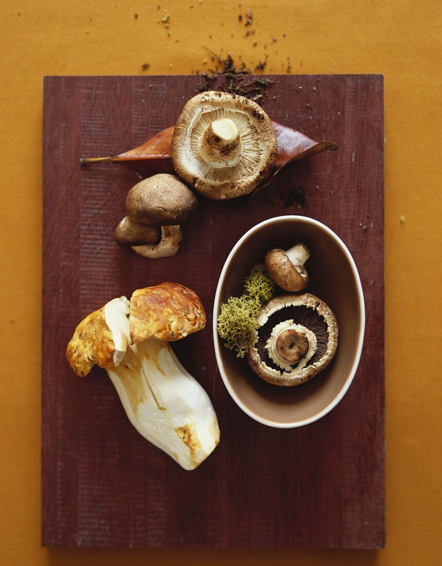 Verschiedene Pilze: Steinpilz, Shiitake und Cremini