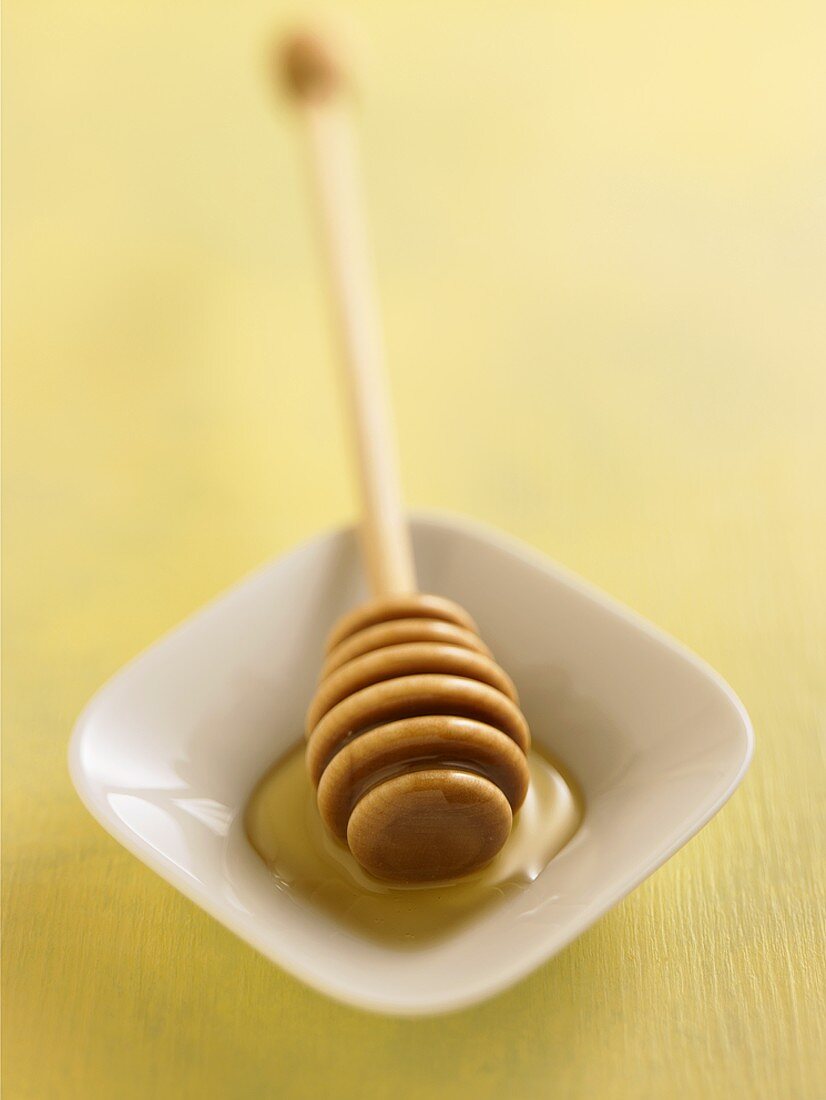Honey Dipper on a Small Dish