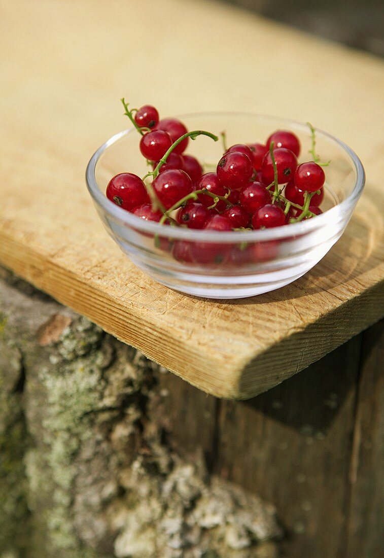 Red Currants in a Small Glass Bowl