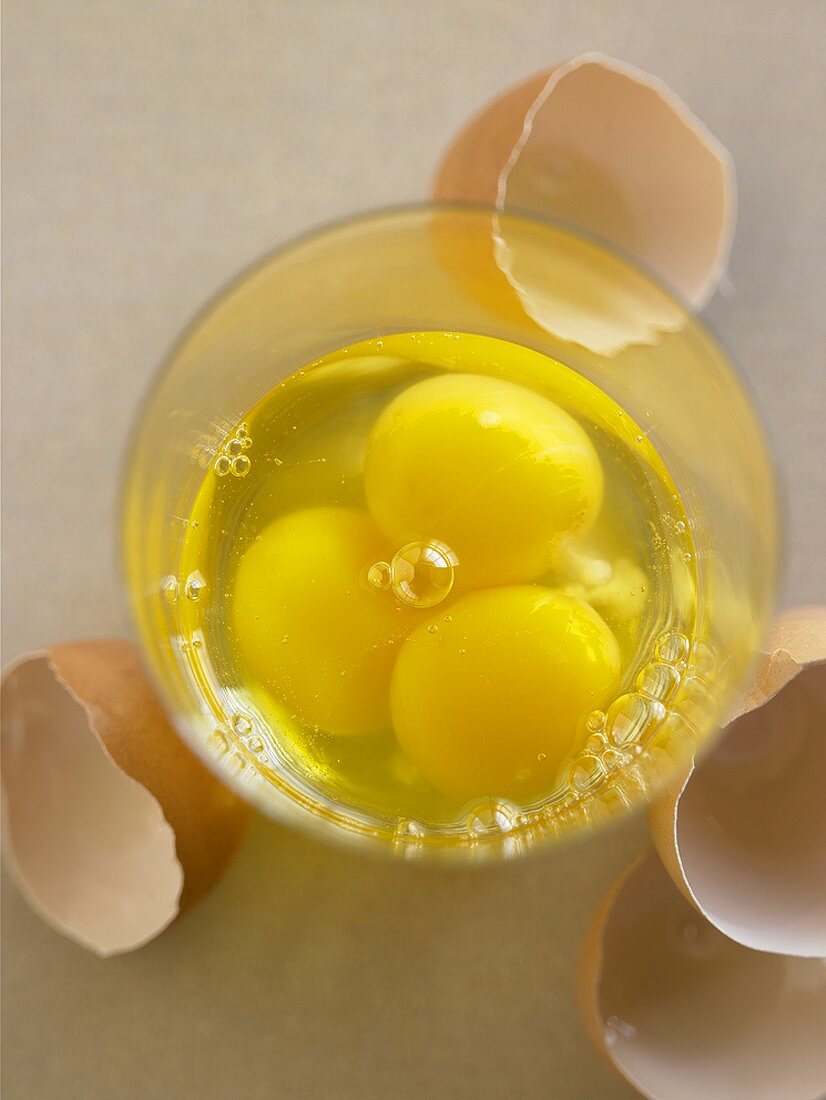 Three Eggs Cracked in a Bowl, Egg Shells