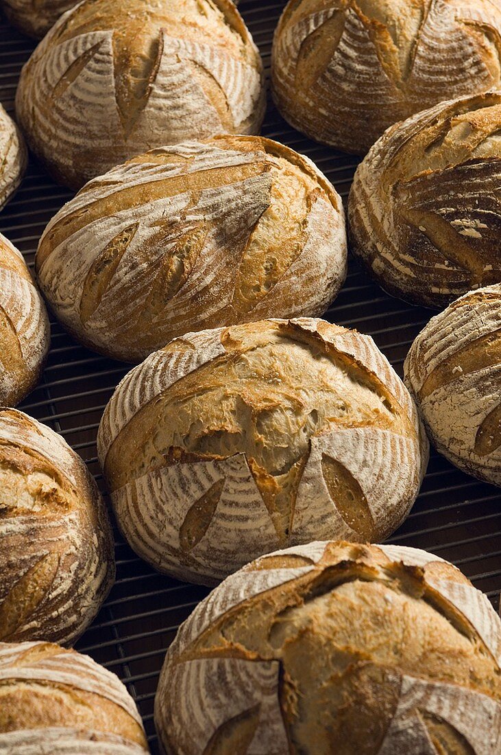 Loaves of Fresh Sourdough