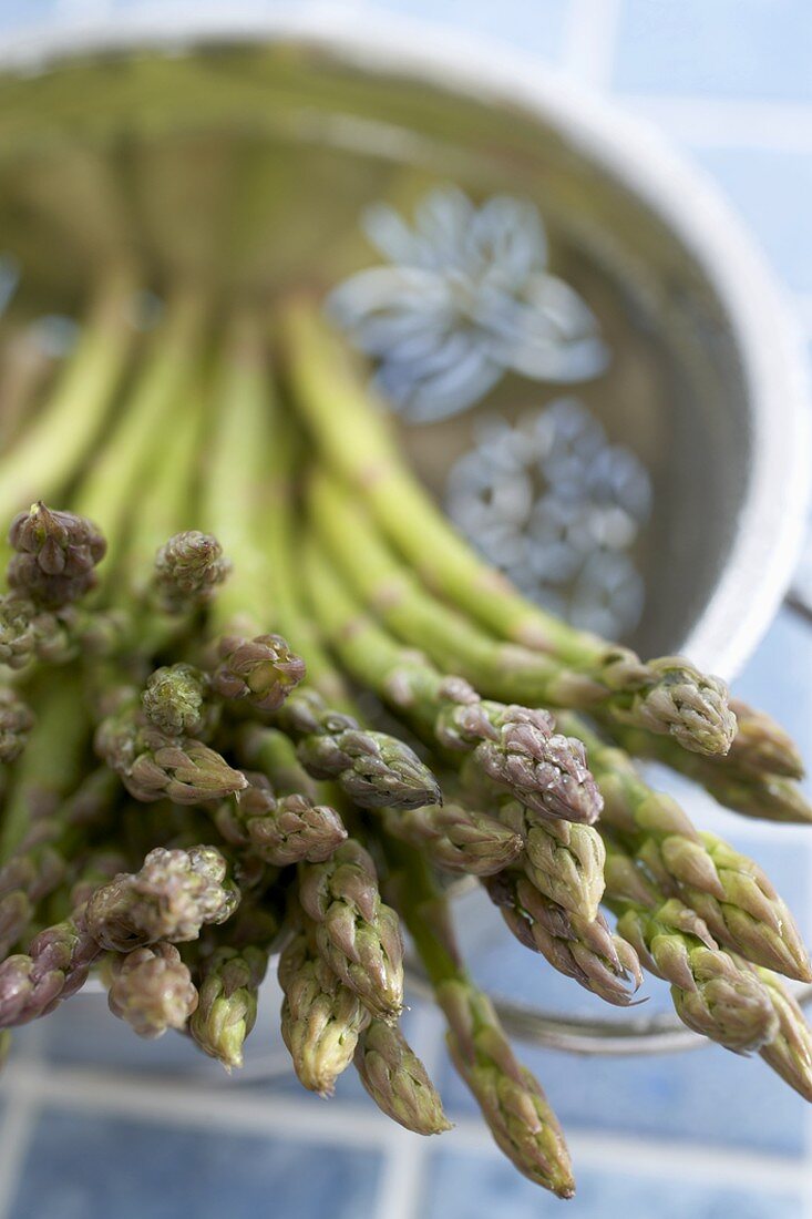 Close Up of Tips of Fresh Organic Asparagus in a Colander