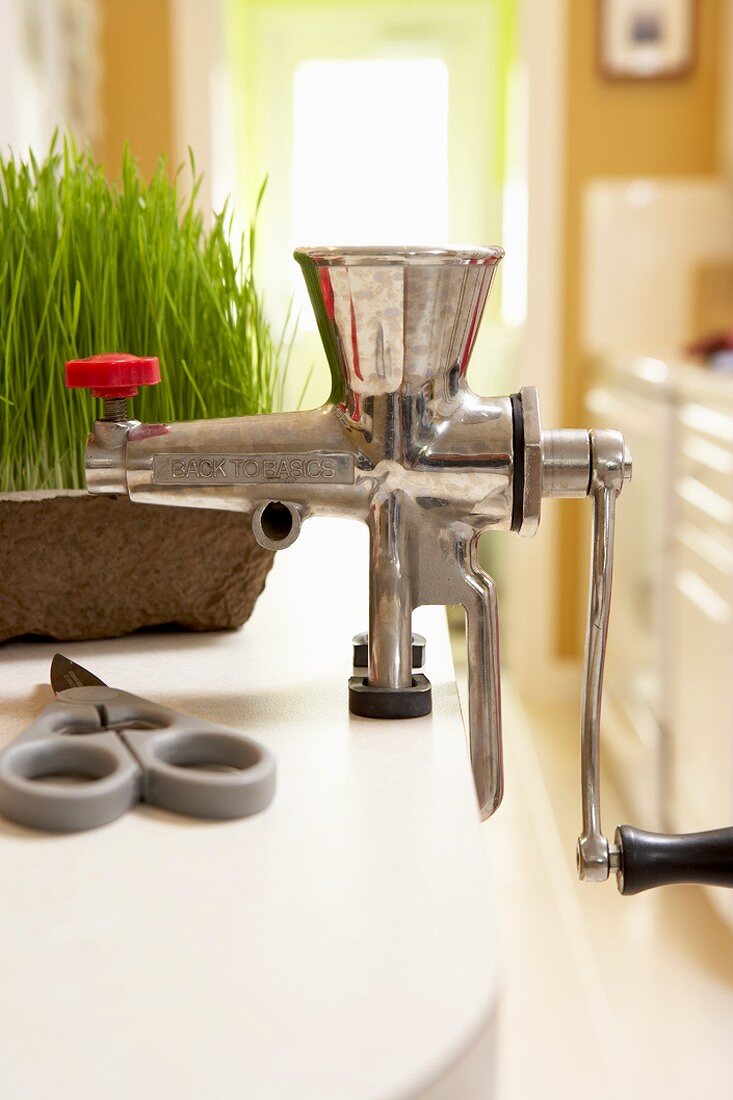 Wheat Grass Juicer on Kitchen Counter with Wheat Grass