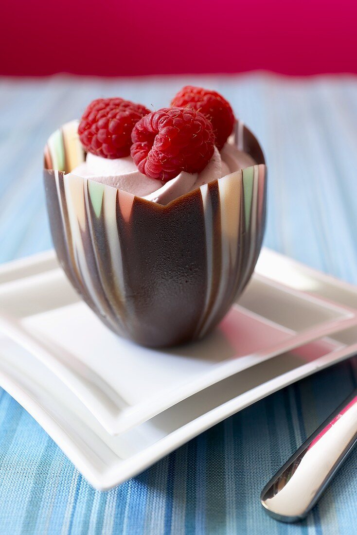 Bowl of Raspberry Mousse Topped with Fresh Raspberries