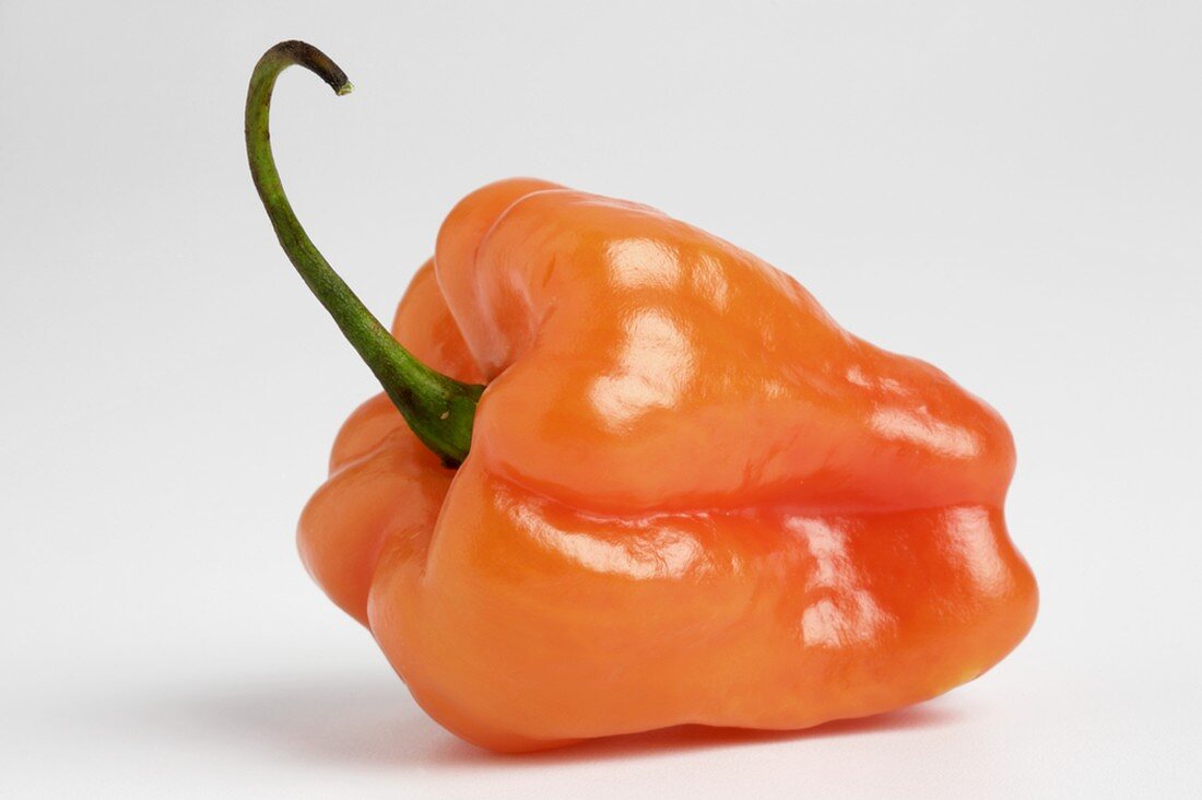 Whole Bell Pepper with Stem on a White Background