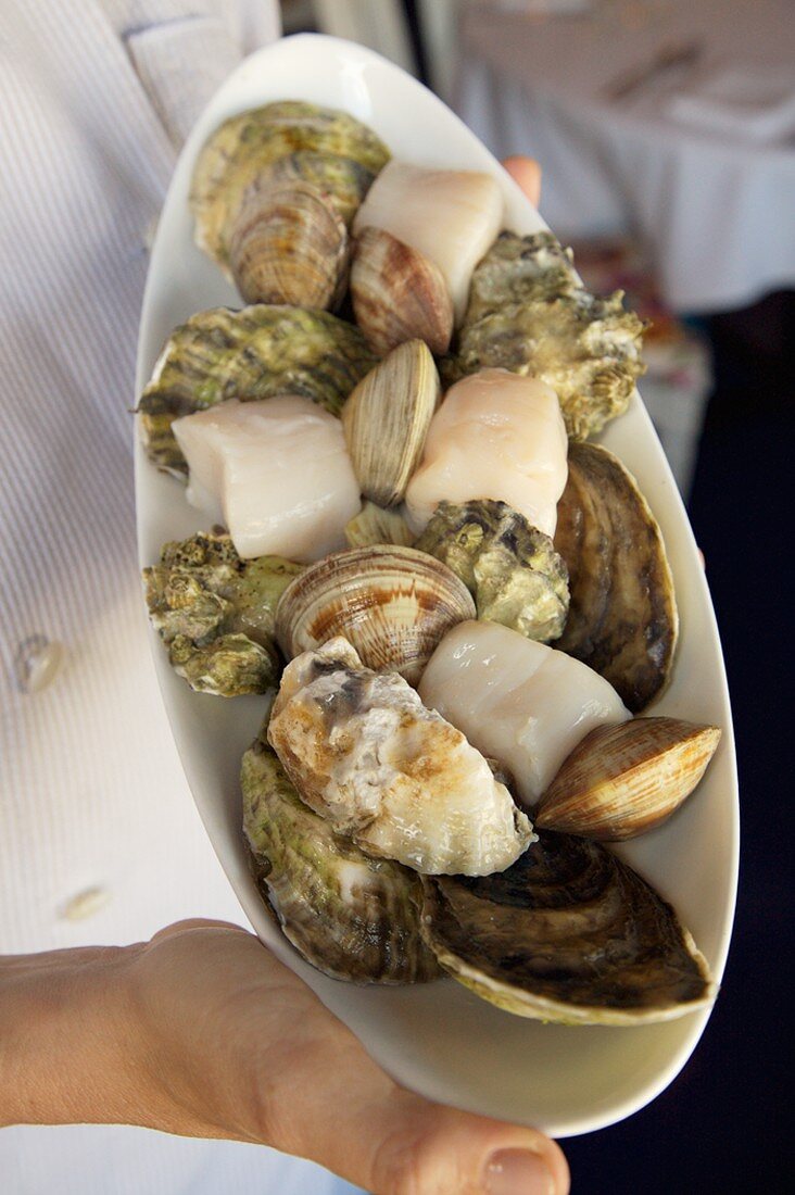 Chef Holding a Plate of Assorted Shellfish, Michy's Restaurant, Miami