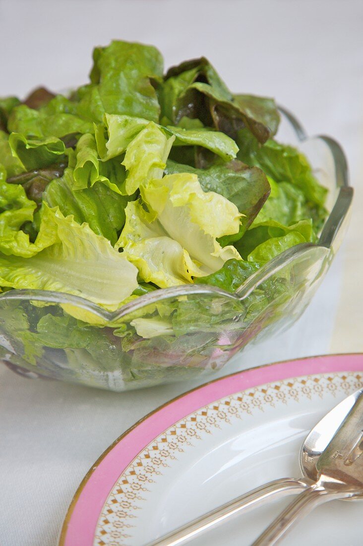 Green salad in a glass bowl