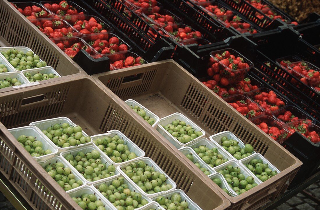 Many Containers of Gooseberries and Strawberries at a Market