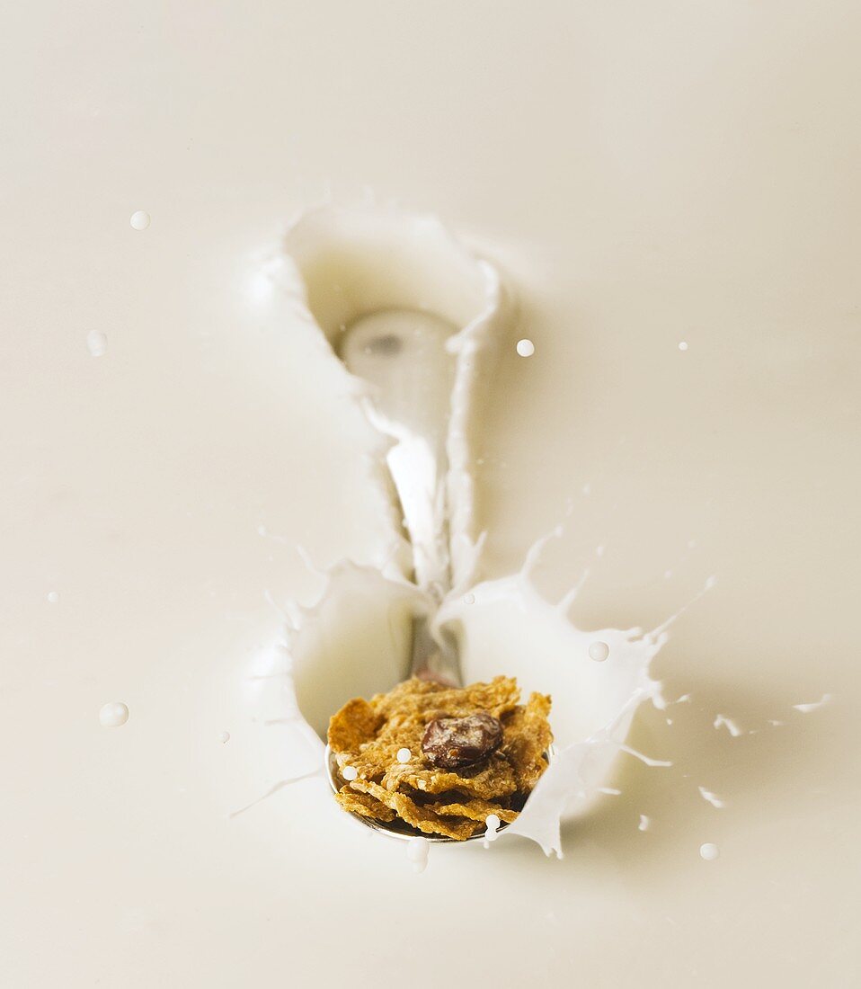 Cornflakes and a spoon falling into milk