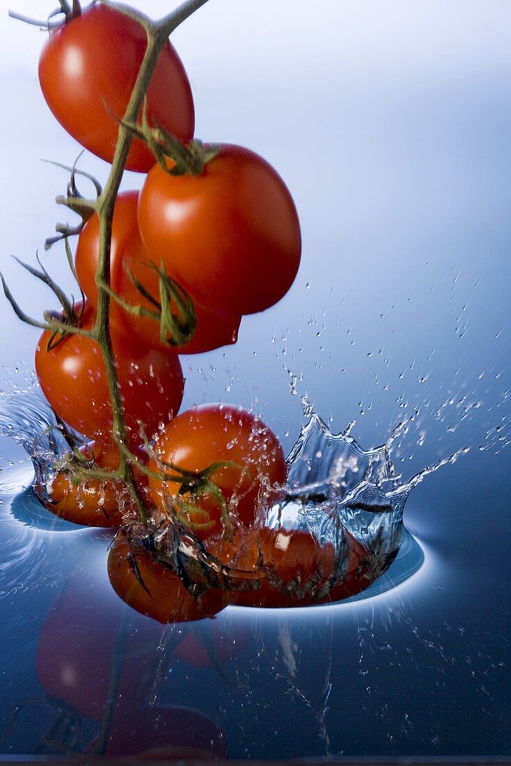 Tomatenrispe fällt ins Wasser