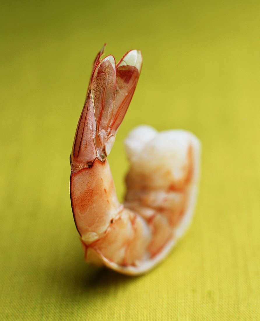A shrimp on green background
