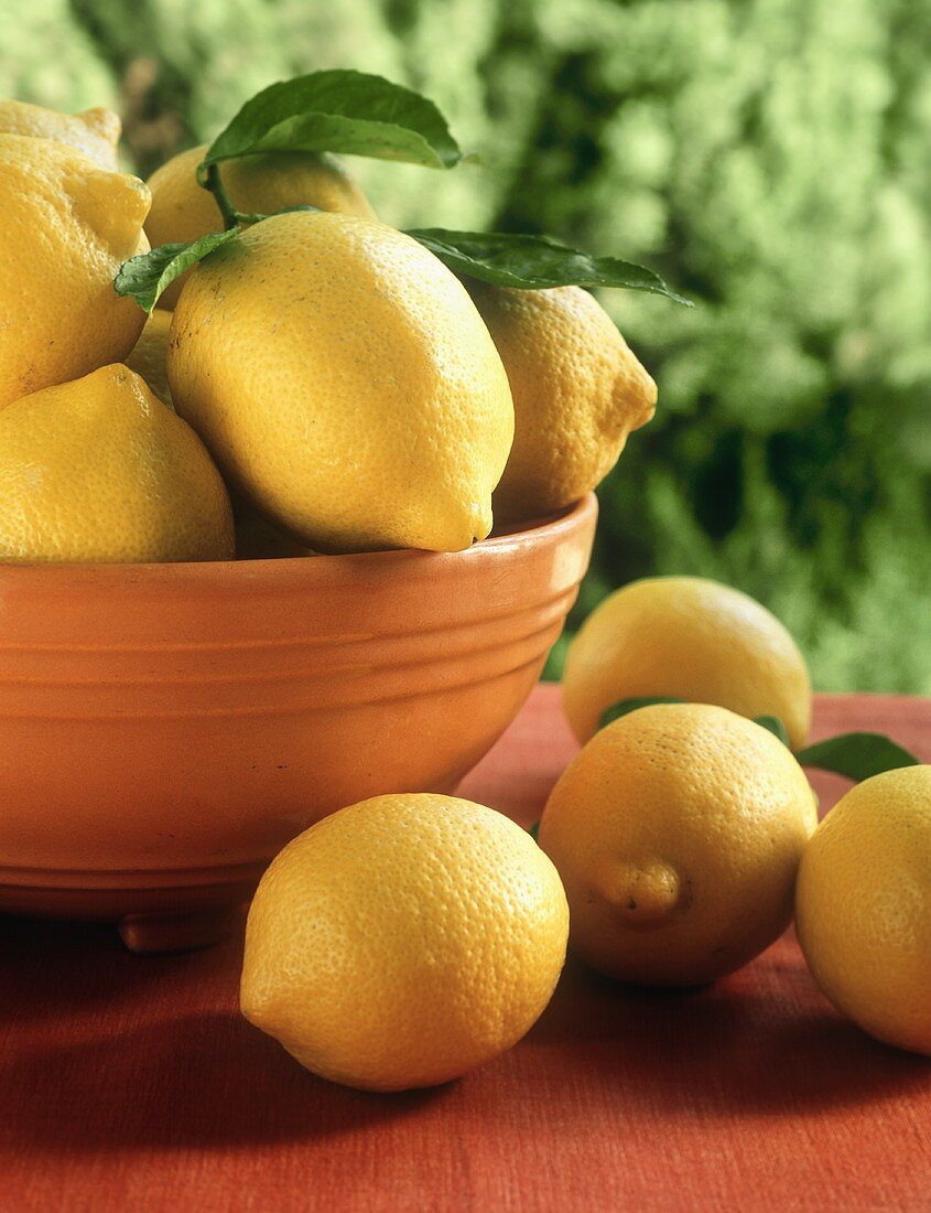 Lemons in bowl and on table in open air