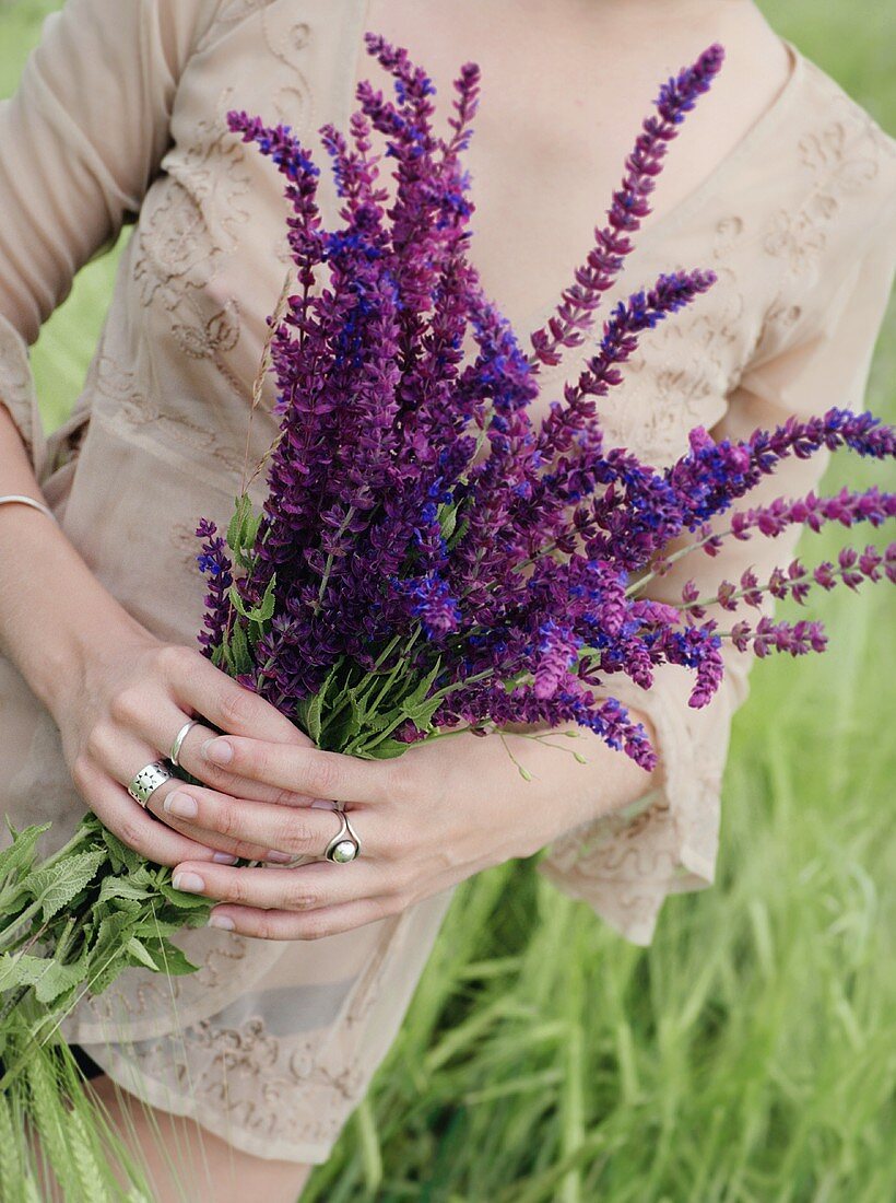Woman holding a bunch of sage flowers