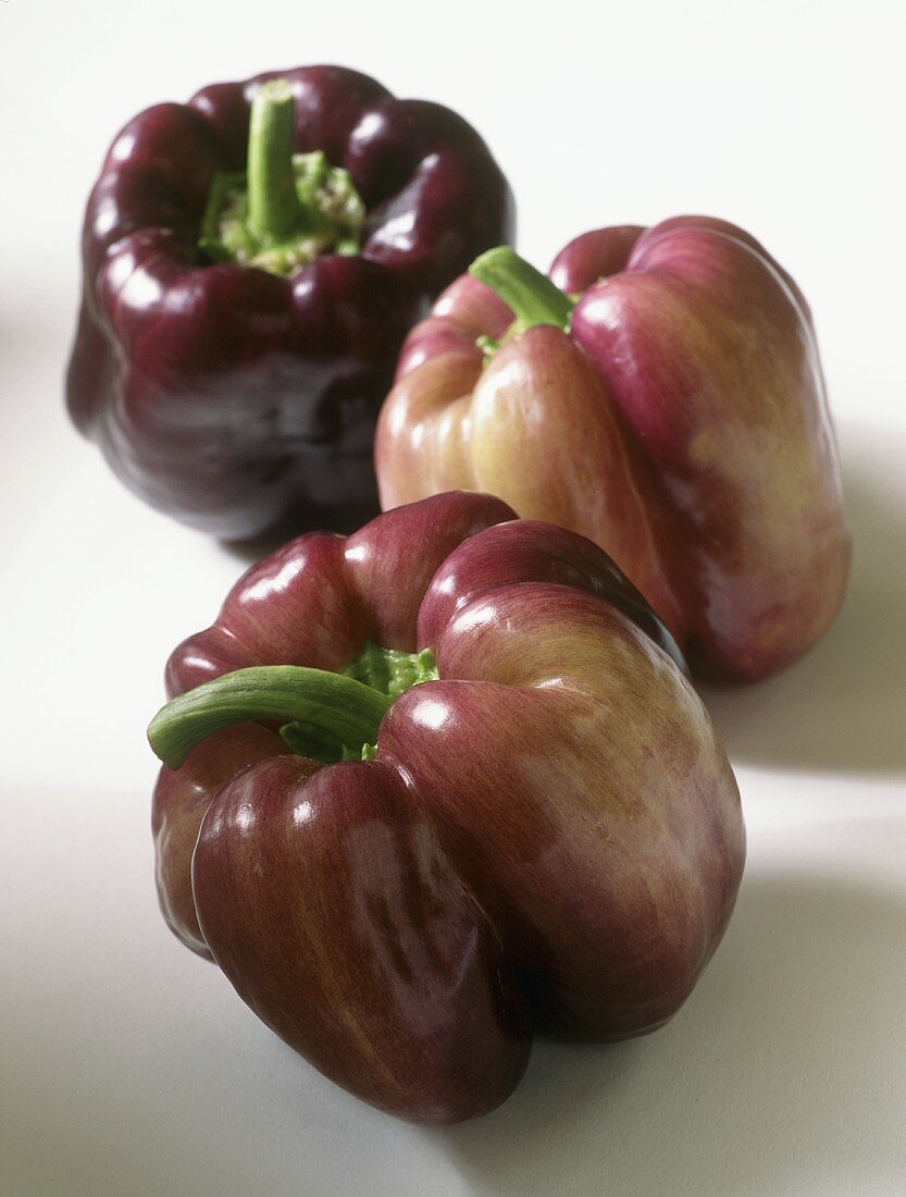 Three purple peppers