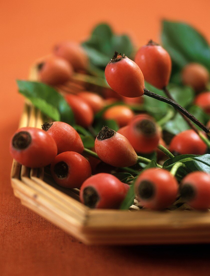 Rose hips with leaves on wicker tray