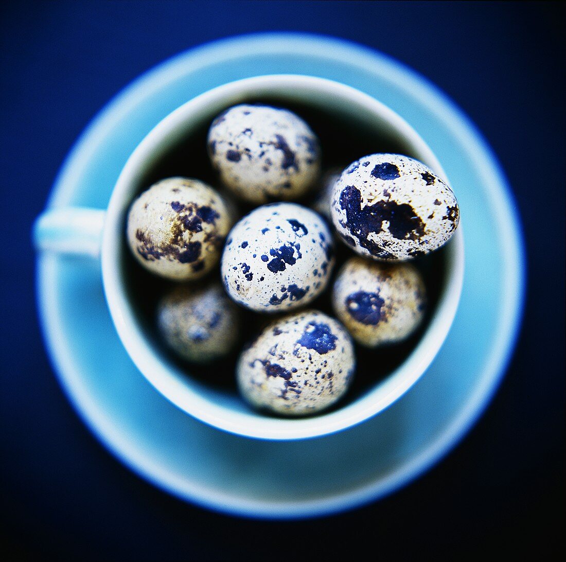 Quail’s eggs in blue teacup