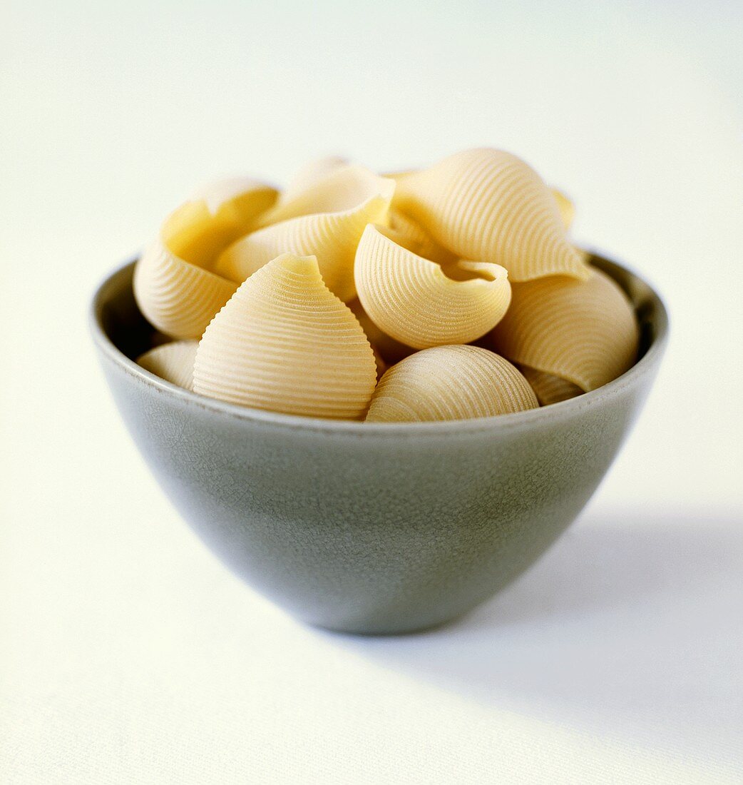 Pasta shells in grey ceramic bowl