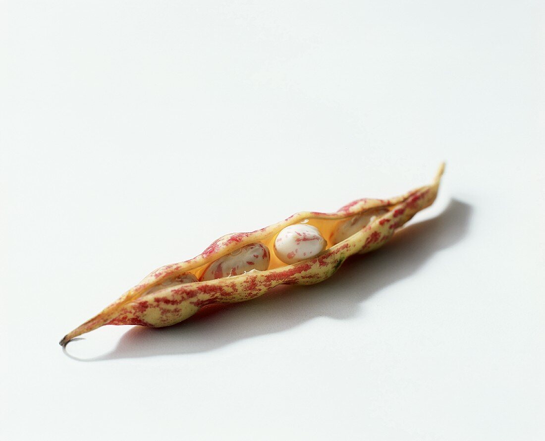 A Cranberry Bean Split Open