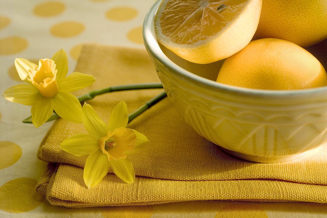 Zitronen in Schale und Märzenbecher auf gelbem Tuch