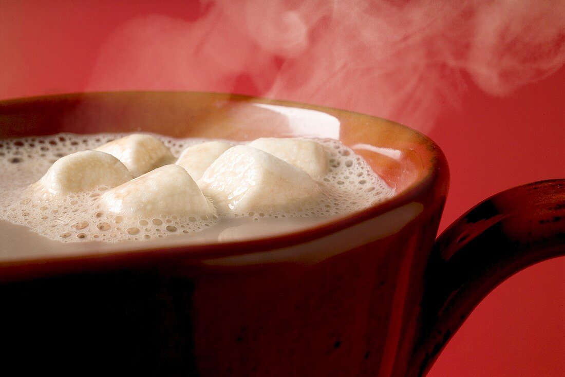 Dampfender Kakao mit Marshmallows (Close Up)