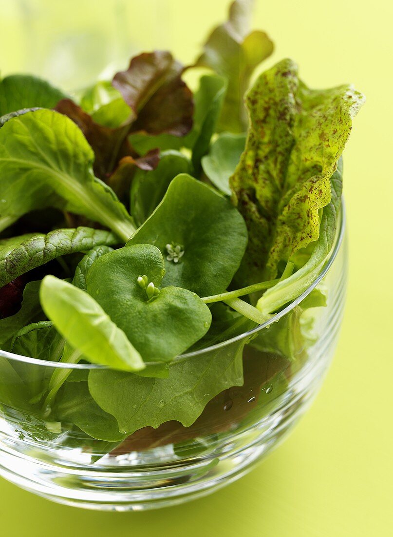 Gemischter Blattsalat ohne Dressing in Glasschüssel
