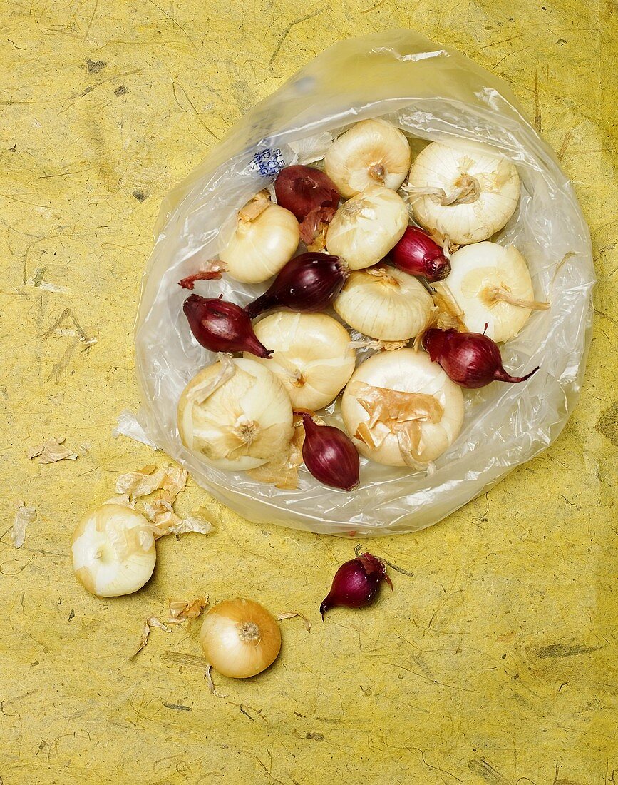 Assorted Onions in and Around a Plastic Bag