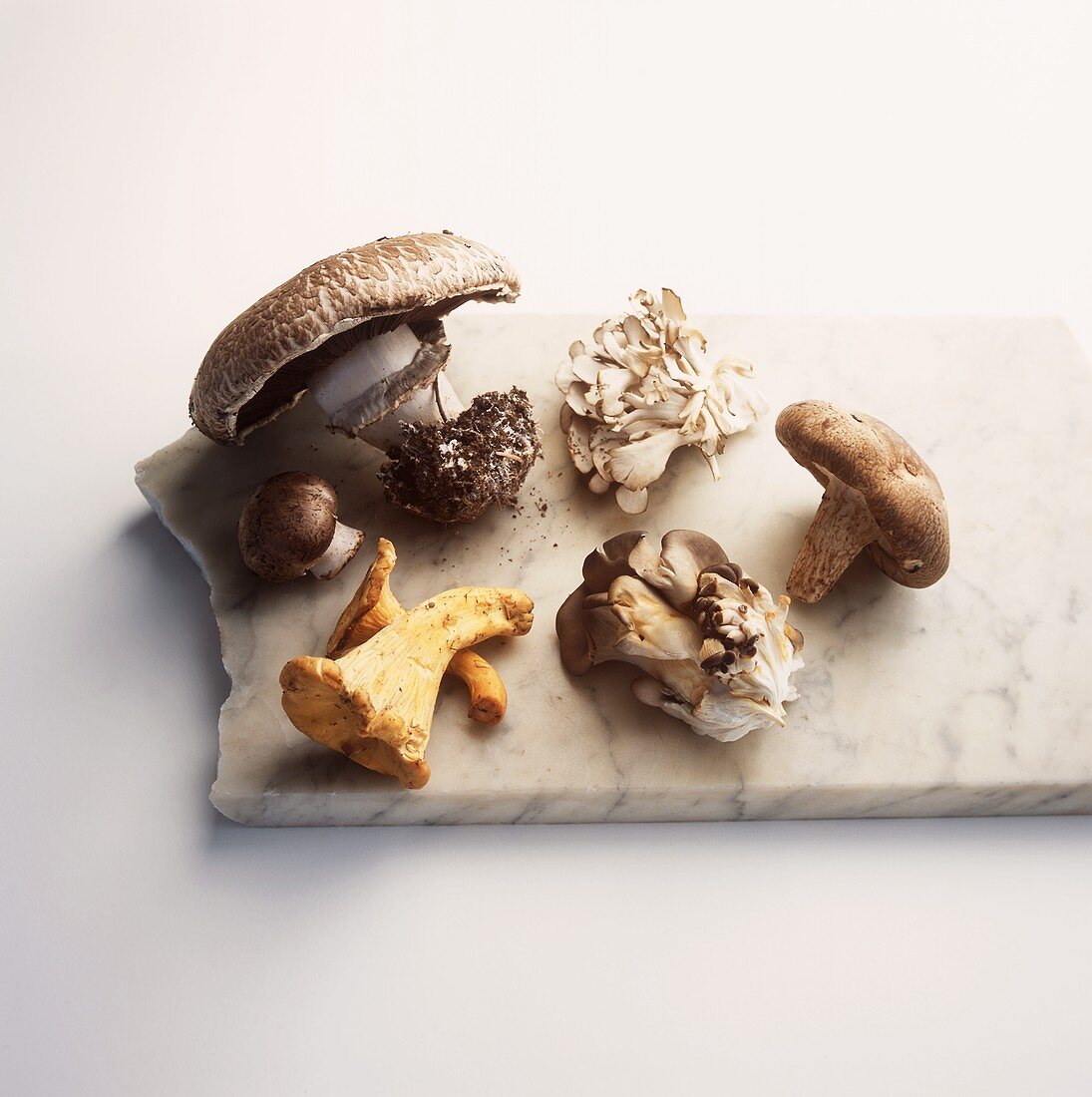Sechs verschiedene Pilze auf Marmorplatte