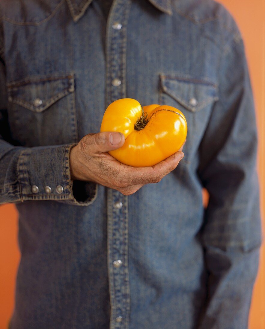 A Man in a Denim Shirt Holding a Yellow Tomato