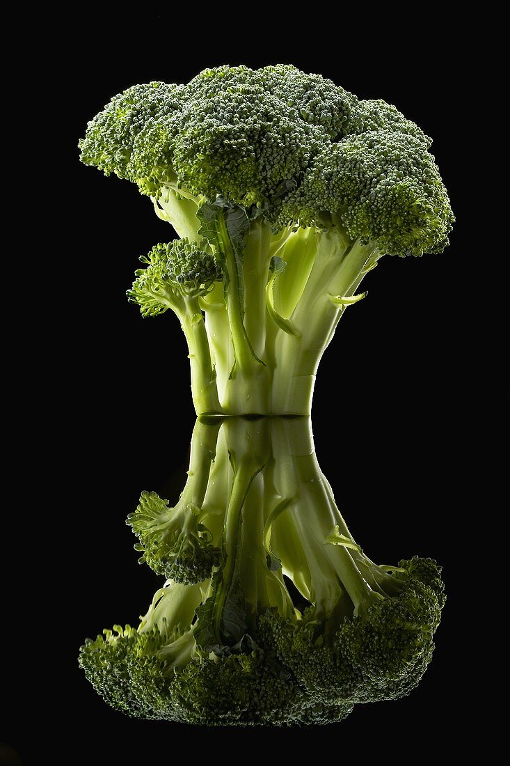 Broccoli on Black with Reflection