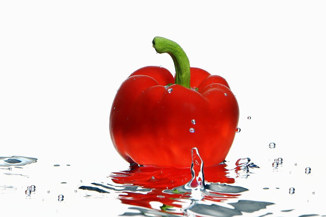 Roter Paprika schwimmt im Wasser