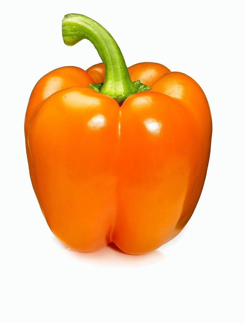 An Orange Holland Pepper