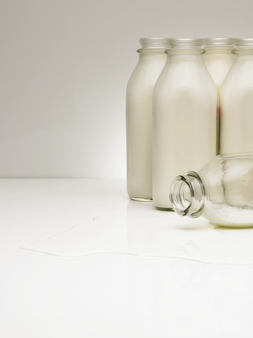 Milchflaschen, eine liegend mit ausgeschütteter Milch