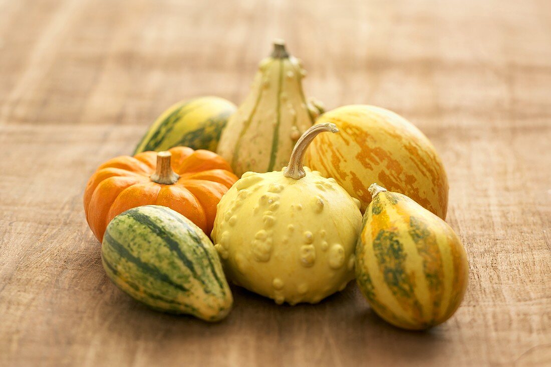An Assortment of Gourds
