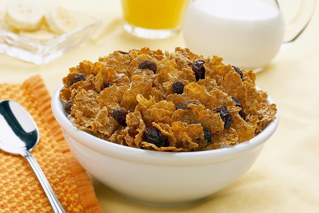A Bowl of Bran Flake Cereal and Raisins without Milk