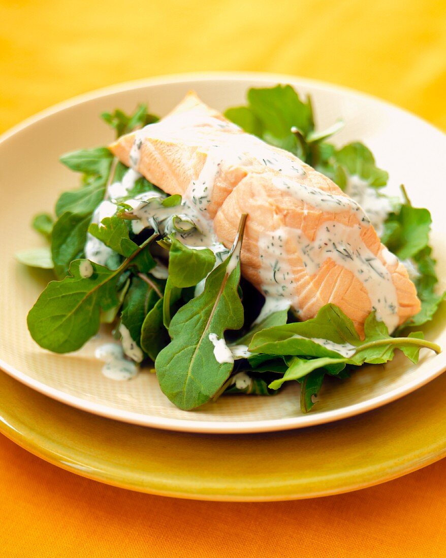 Poached Salmon Fillet with Herbed Cream Sauce on a Bed of Arugula