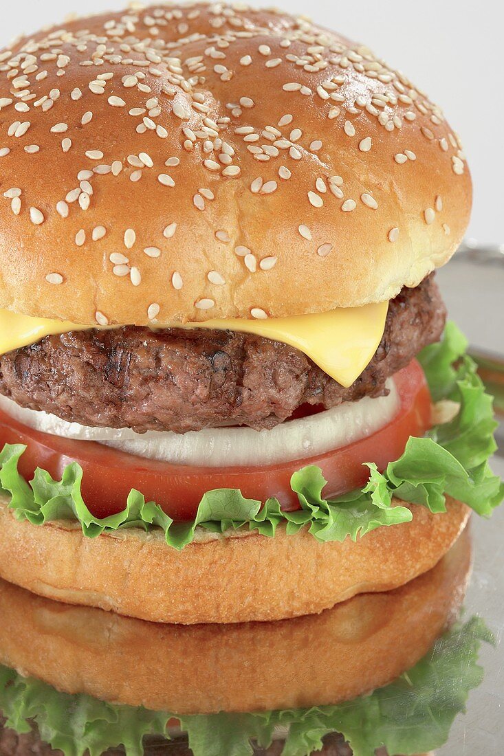 A Cheeseburger Close Up