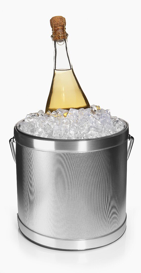 An Ice Bucket with Sparkling Wine