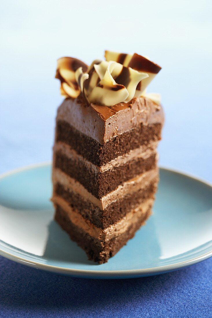 A Slice of Four Layer Chocolate Cake Topped with Chocolate Ribbon