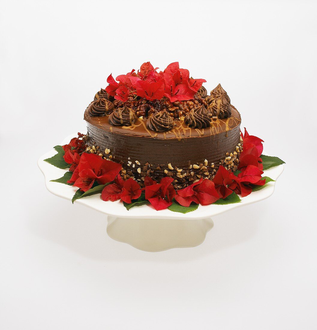 Festliche Schokoladen-Nuss-Torte mit roter Blumendeko