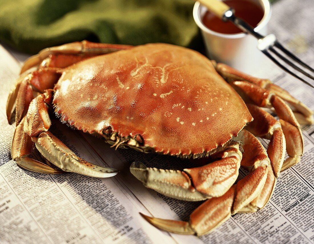 A Whole Cooked Crab on Newspaper