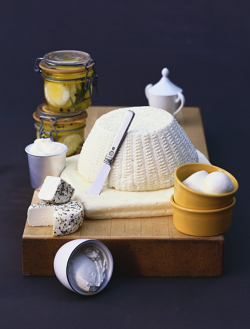 Still Life of Soft Cheeses on a Wooden Block