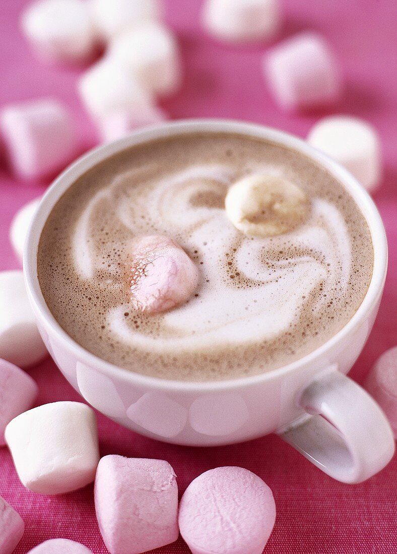 A Cup of Hot Chocolate with Marshmallows