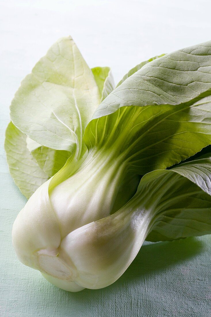 Pak Choi