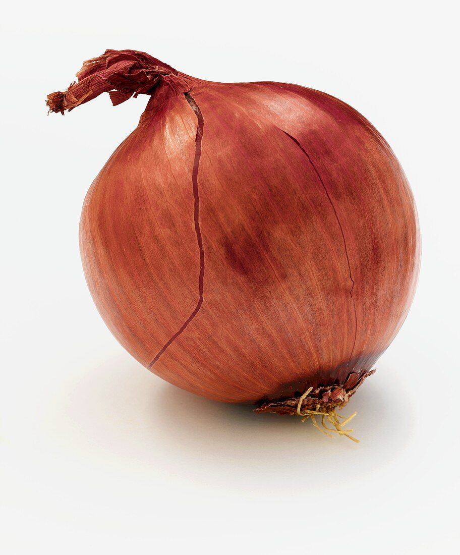 A Whole Red Onion