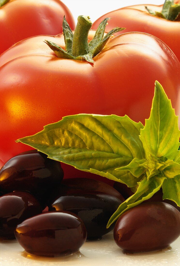 Frische Tomaten, schwarze Oliven und Basilikum (Close Up)