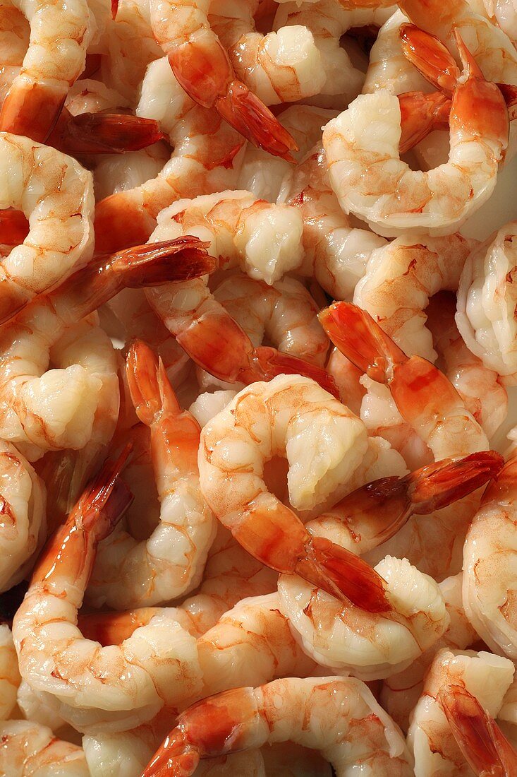 Close-up of Shrimp